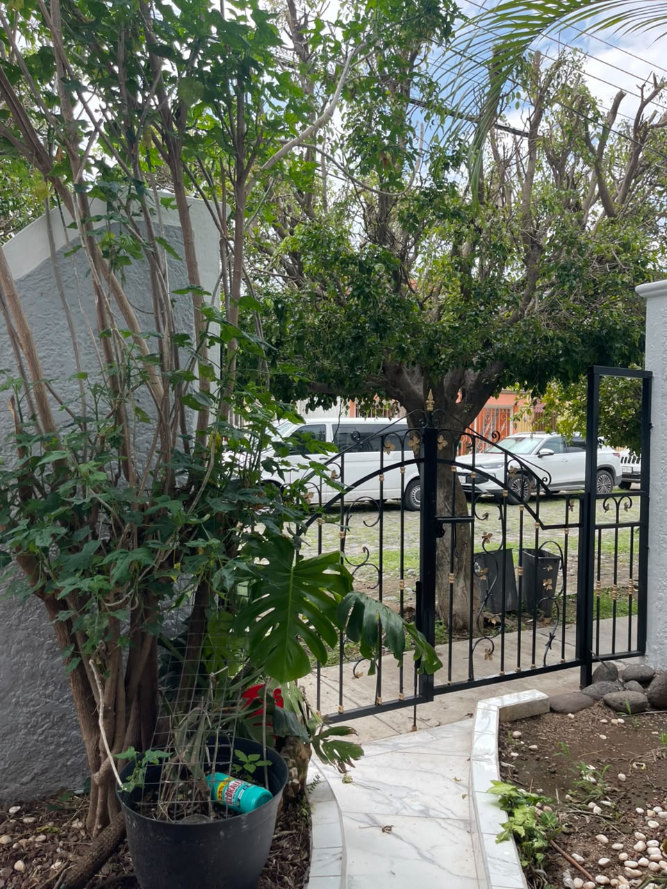 🏡 Casa en Renta | Coto San Francisco | Cerca de San Isidro, Zapopan - foto 7