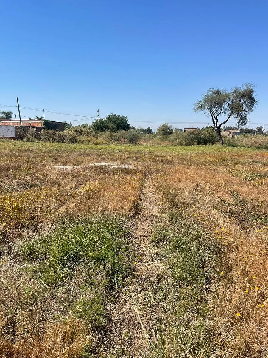 Terreno en Venta en El Zapote, Jalisco - foto 1