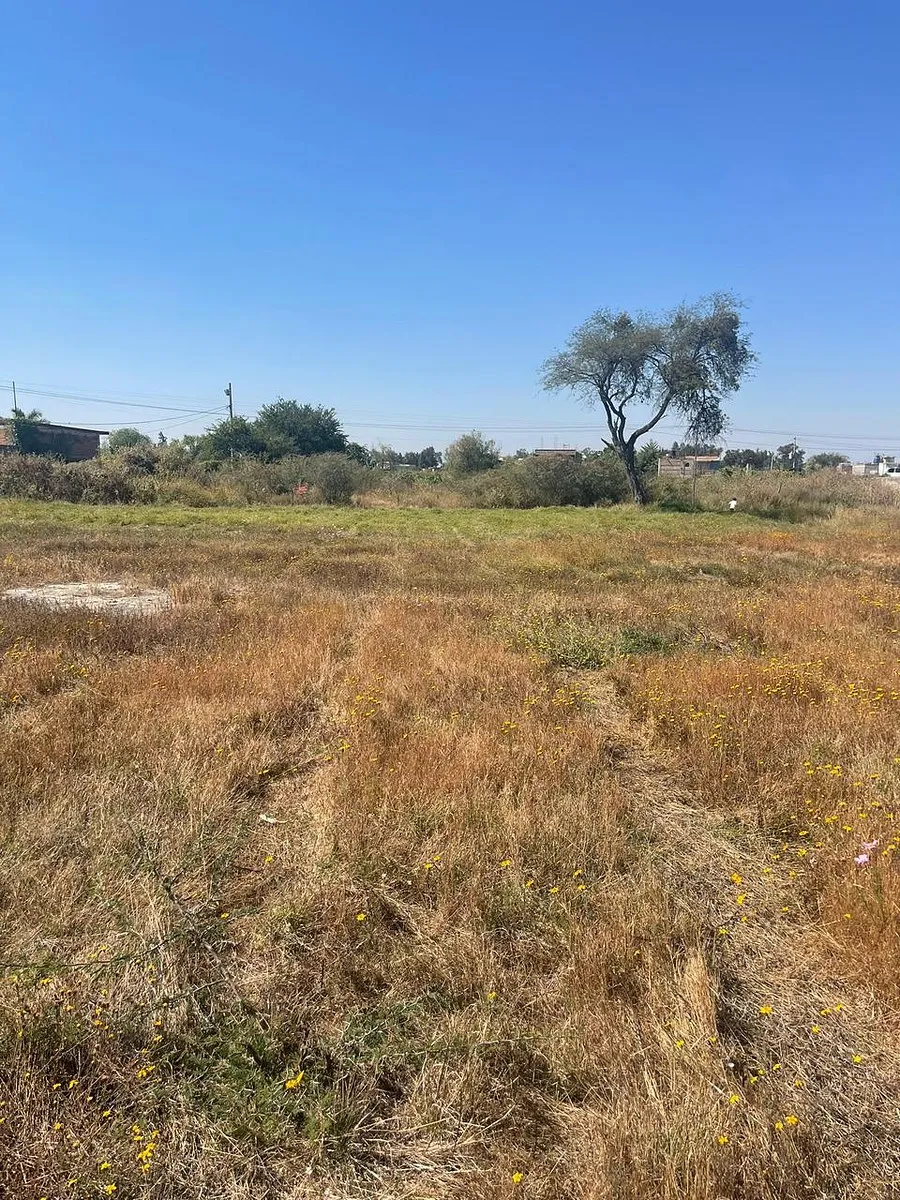 Terreno en Venta en El Zapote, Jalisco - foto 2