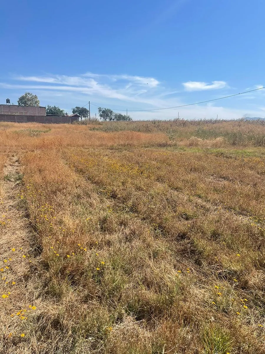 Terreno en Venta en El Zapote, Jalisco - foto 4