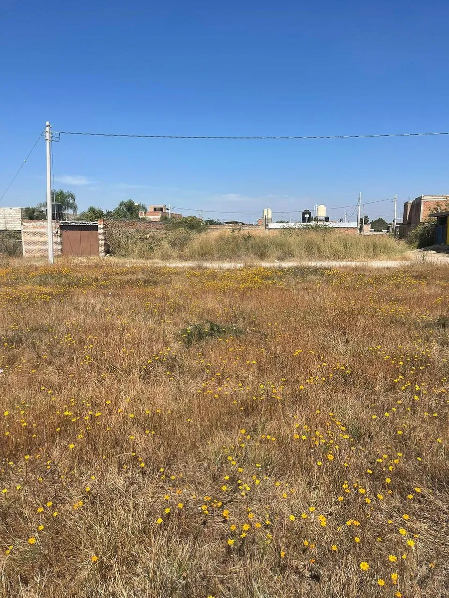 Terreno en Venta en El Zapote, Jalisco - foto 5