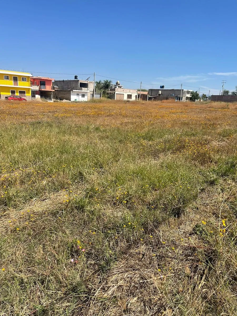 Terreno en Venta en El Zapote, Jalisco - foto 6