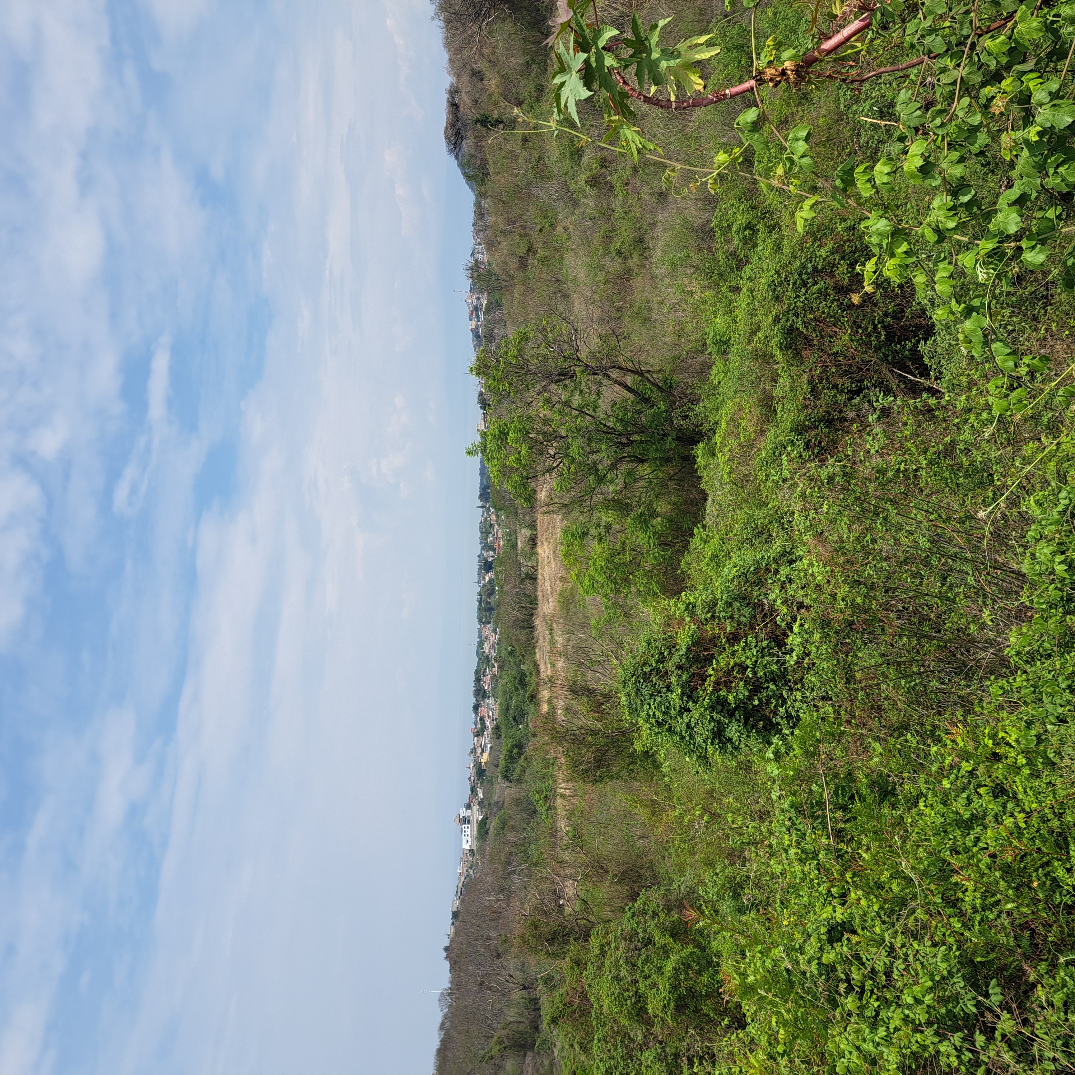 Terreno en Libramiento Chapala - Ajijic - foto 1