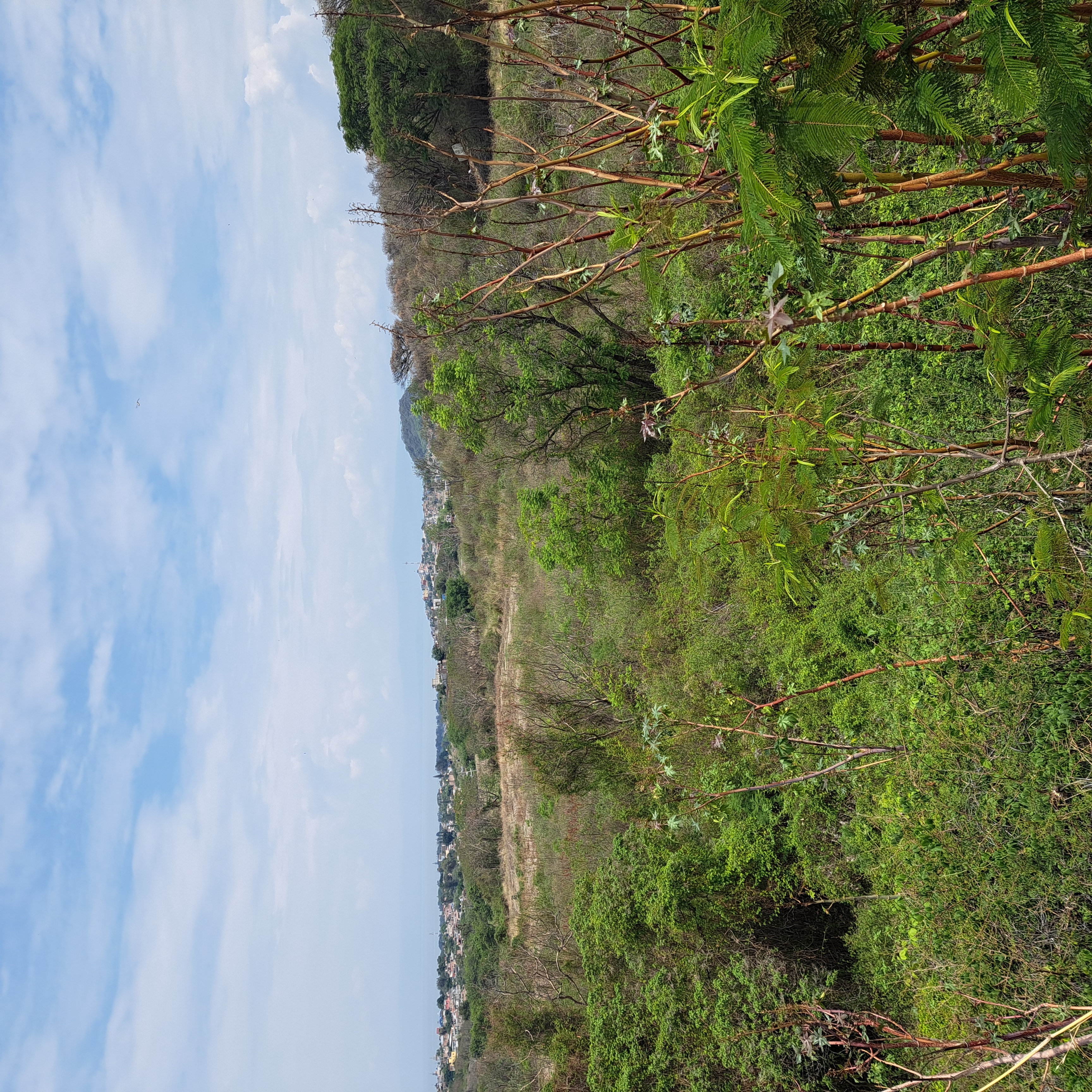 Terreno en Libramiento Chapala - Ajijic - foto 2
