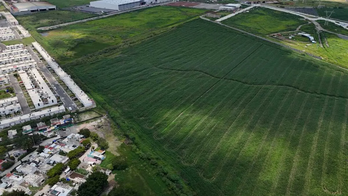 Gran terreno en Venta en San José del Castillo, El Salto, Jalisco - foto 5