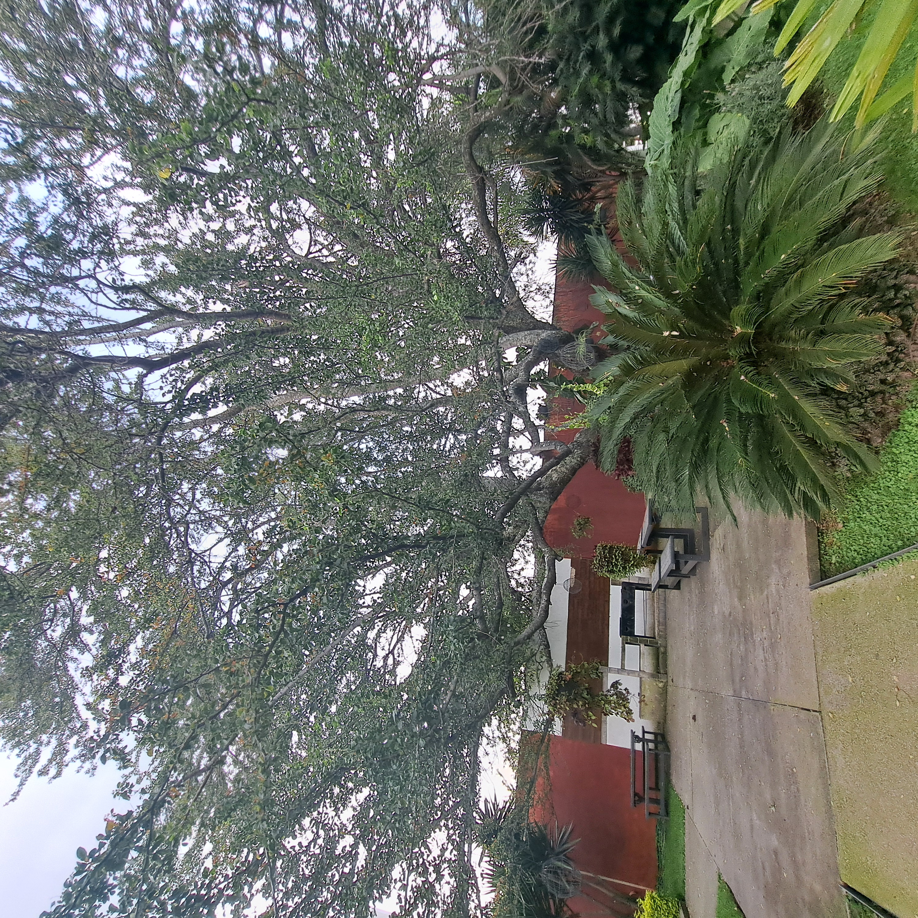 Casa en Porta Foresta, El Fortin, Zapopan - foto 10
